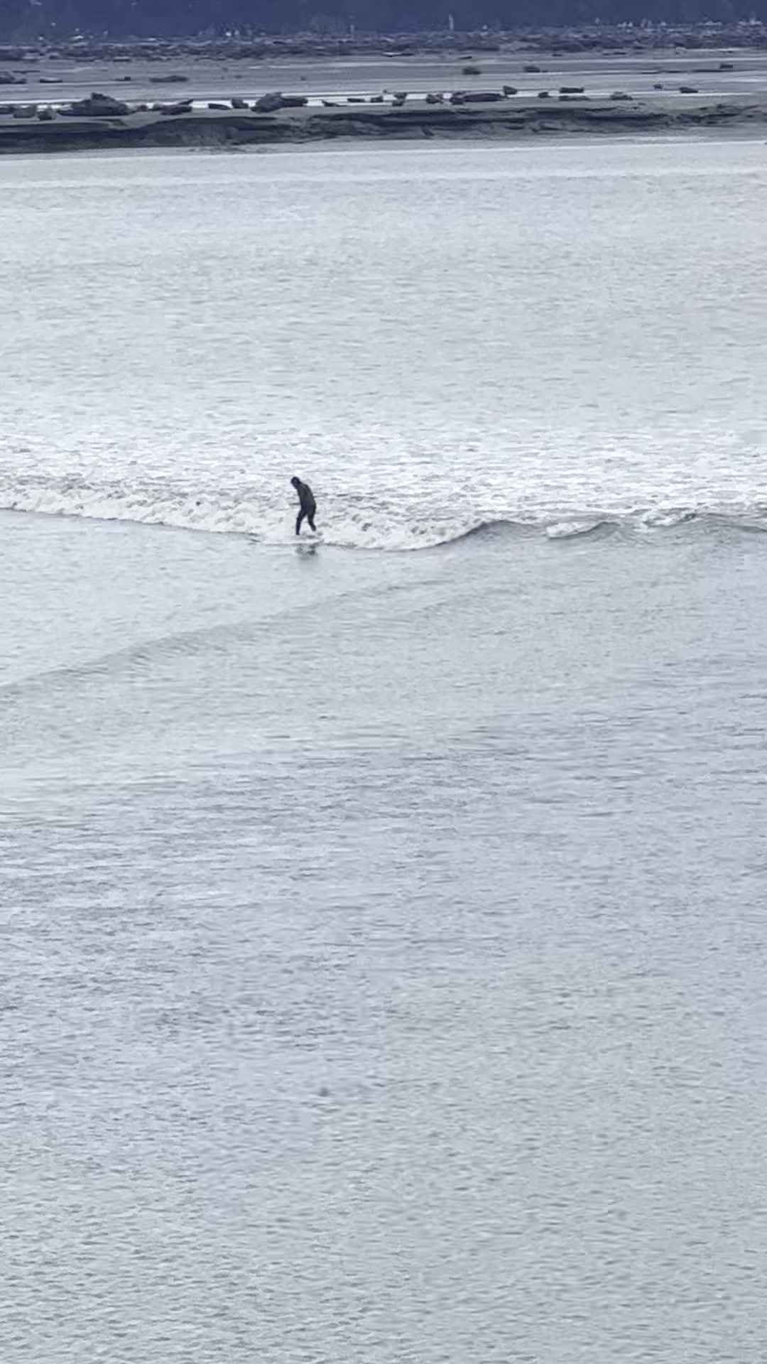 Surfer riding the Turnagain Arm bore tide wave from shore, winter conditions
