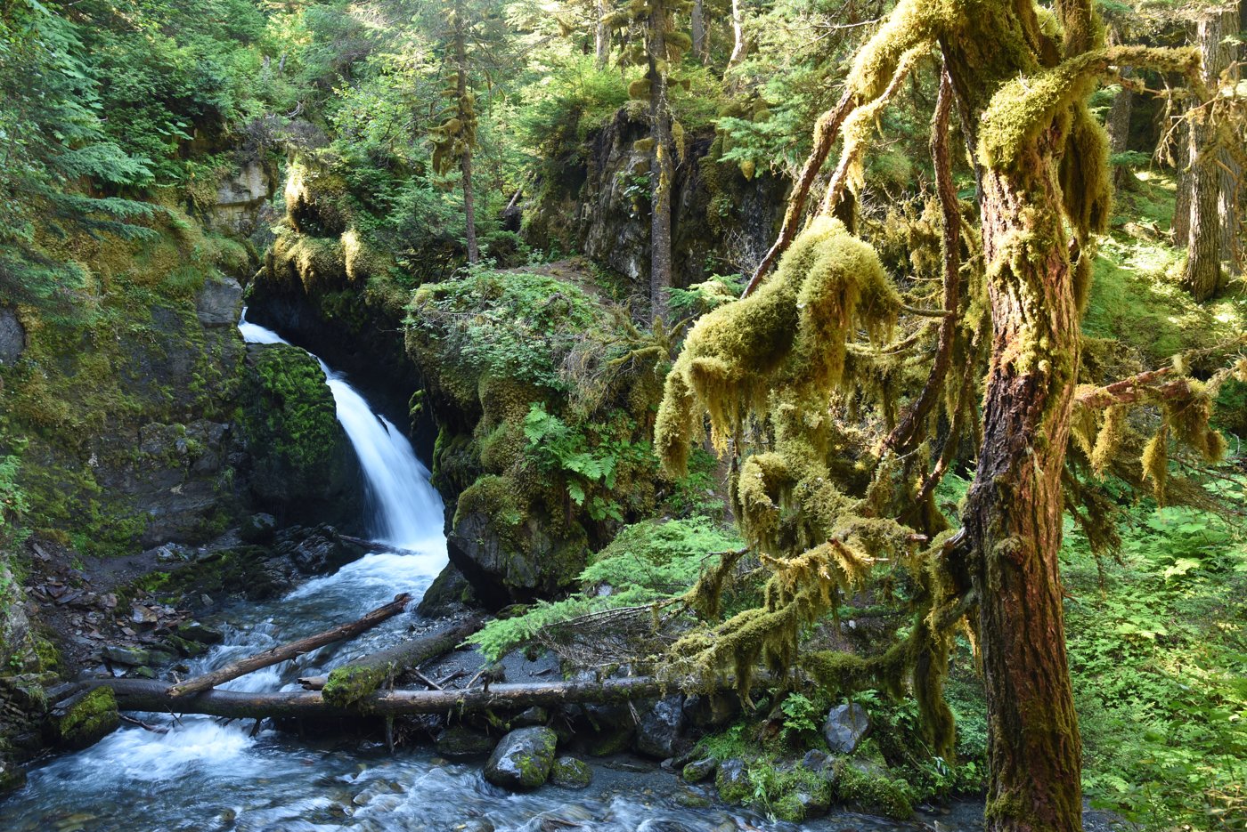 Virgin Creek Falls, a short hike from Girdwood