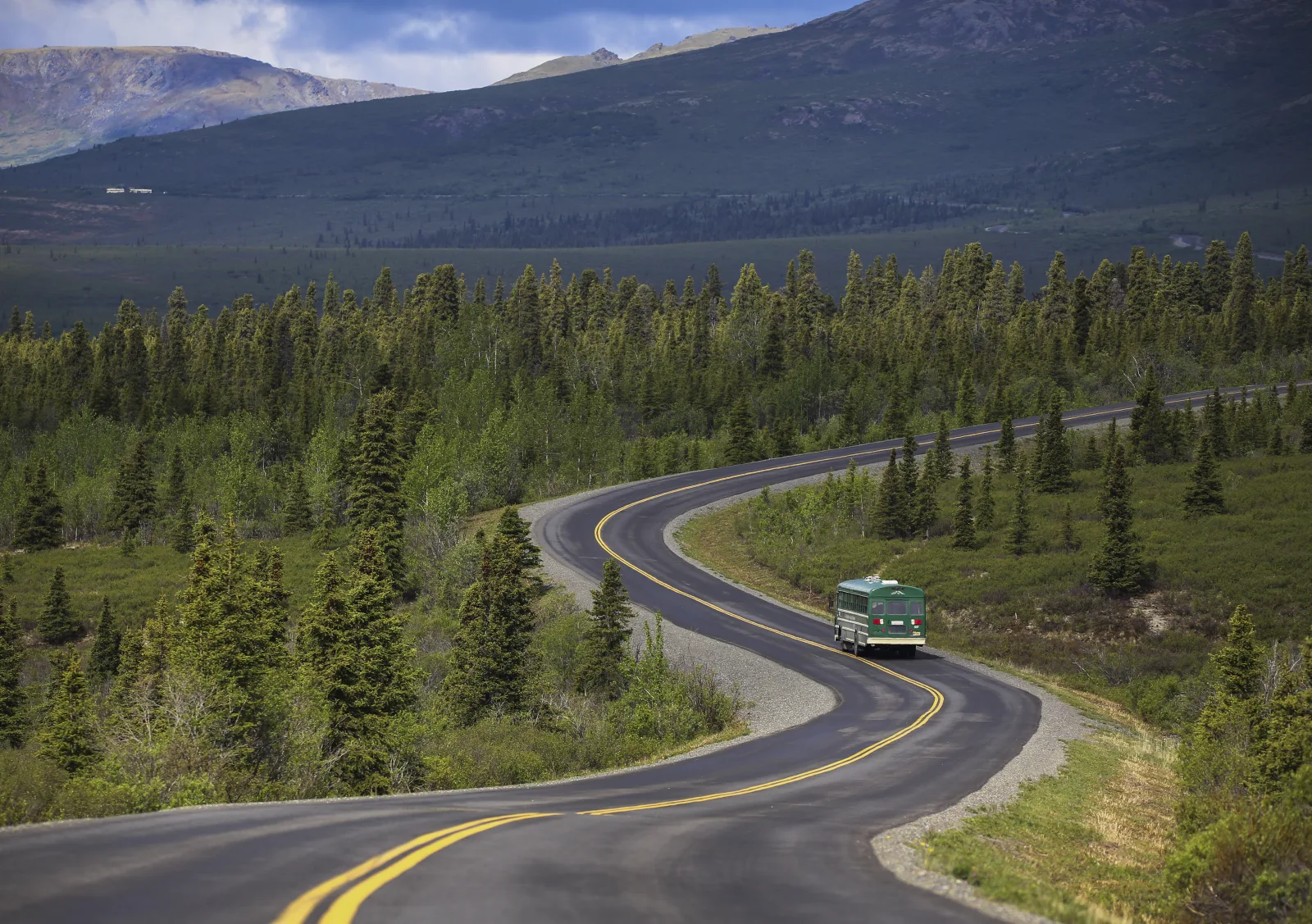 Denali Park Road near Mile 12, the paved first stretch of the road