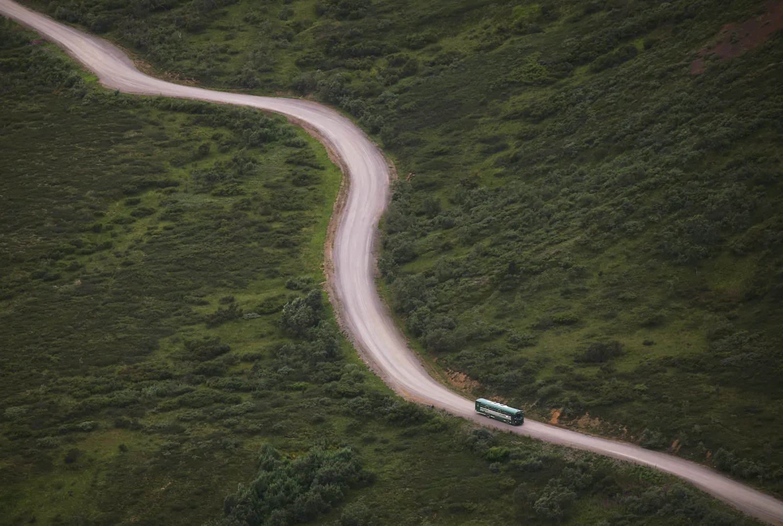 A green Denali park transit bus on the park road near Igloo Canyon