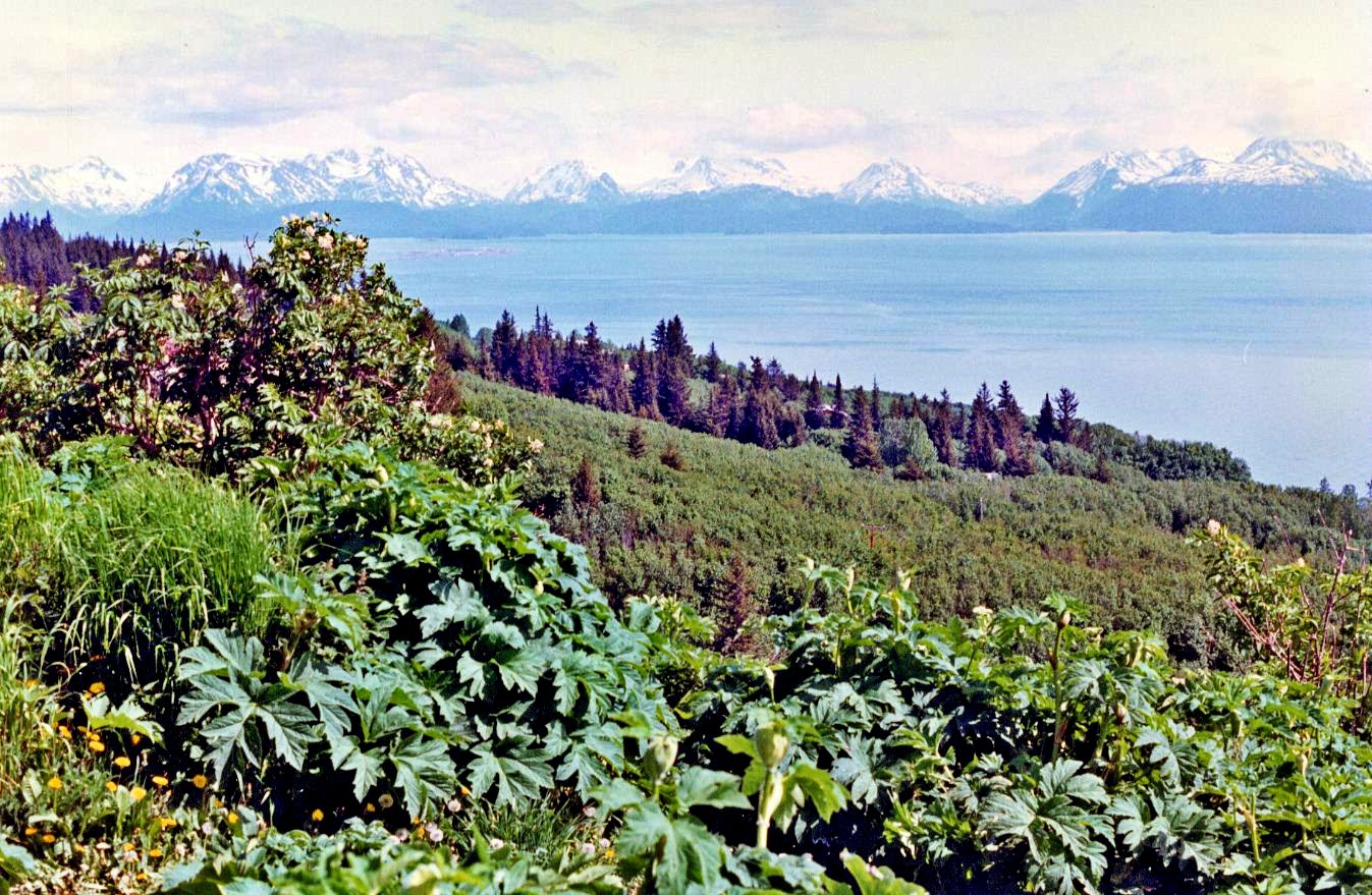 Kachemak Bay and the Kenai Mountains near Homer, Alaska